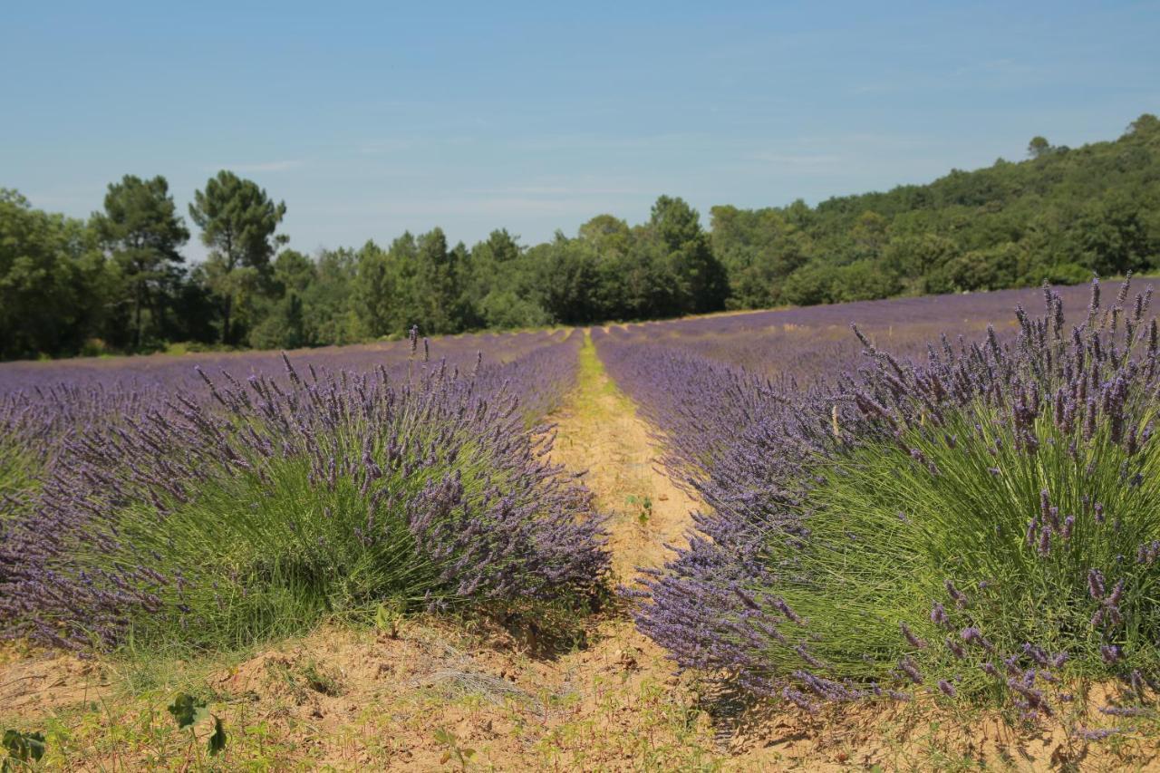 Les Yourtes De Provence Bed & Breakfast Saint-Paulet-de-Caisson Dış mekan fotoğraf